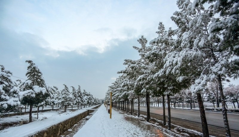 هواشناسی ایران ۱۴۰۳/۱۰/۱۹؛ سامانه بارشی شنبه وارد کشور می‌شود