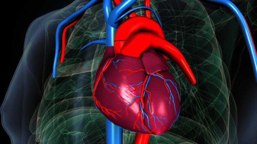 بهترین راه تشخیص گرفتگی رگهای قلب در سریع‌ ترین زمان ممکن