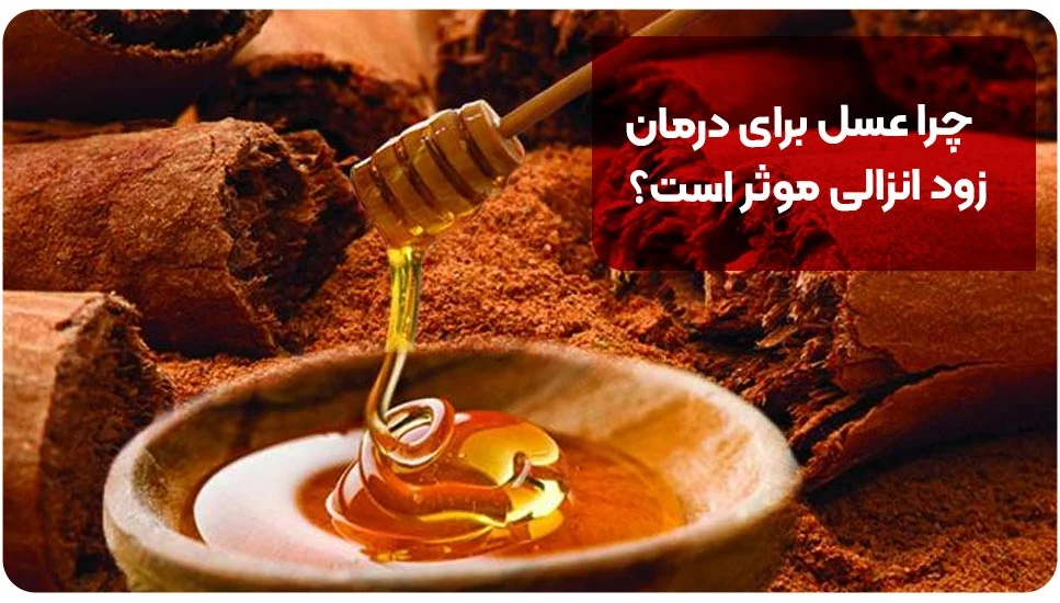 بیماری | زناشویی چرا عسل برای درمان زود انزالی موثر است؟