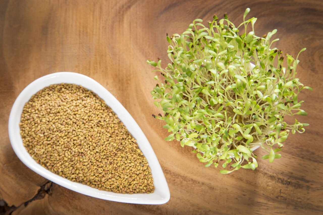 با عرق یونجه کم خونی و ضعف را درمان کنید