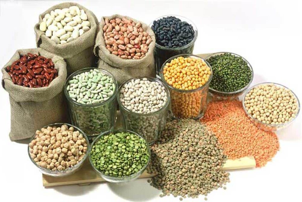 صادرات گرانی حبوبات زیر سایه صادرات بی رویه و عرضه های قطره چکانی؛ تعادل بازار باید حفظ شود