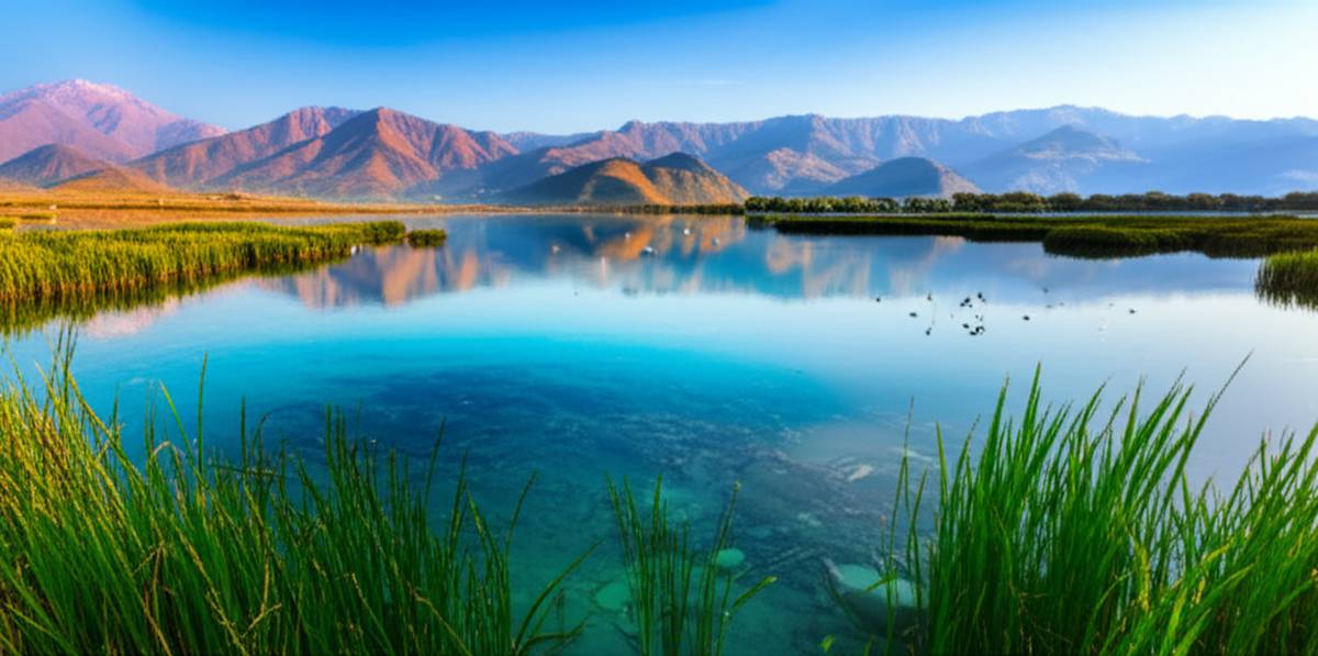 تفریحات تالاب چغاخور: راهنمای جامع سفر و لذت طبیعت